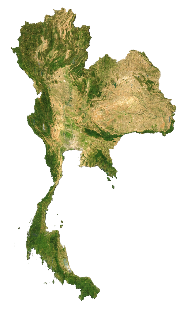 Branch Map